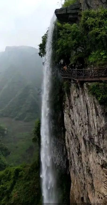 邻居姐弟发生财产纠纷，姐姐几乎每天上门涂抹粪便